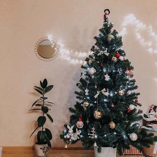 plant green Christmas tree with ornaments tree